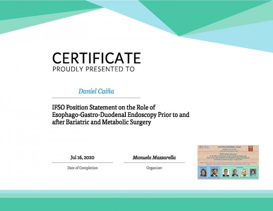 ASISTENCIA AL SEMINARIO DE LA IFSO SOBRE ENDOSCOPIA